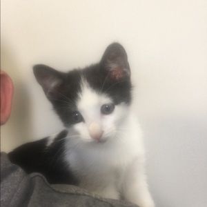 Meet your Posher, Barry